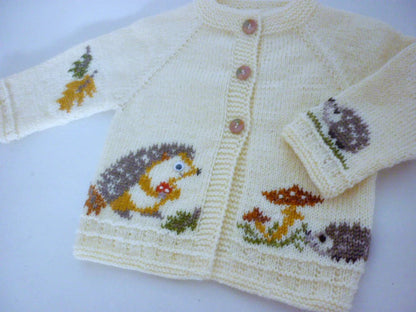 Hedgehog Baby Cardigan Knitting Pattern