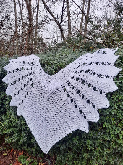 Veilwyn Shawl Crochet Pattern
