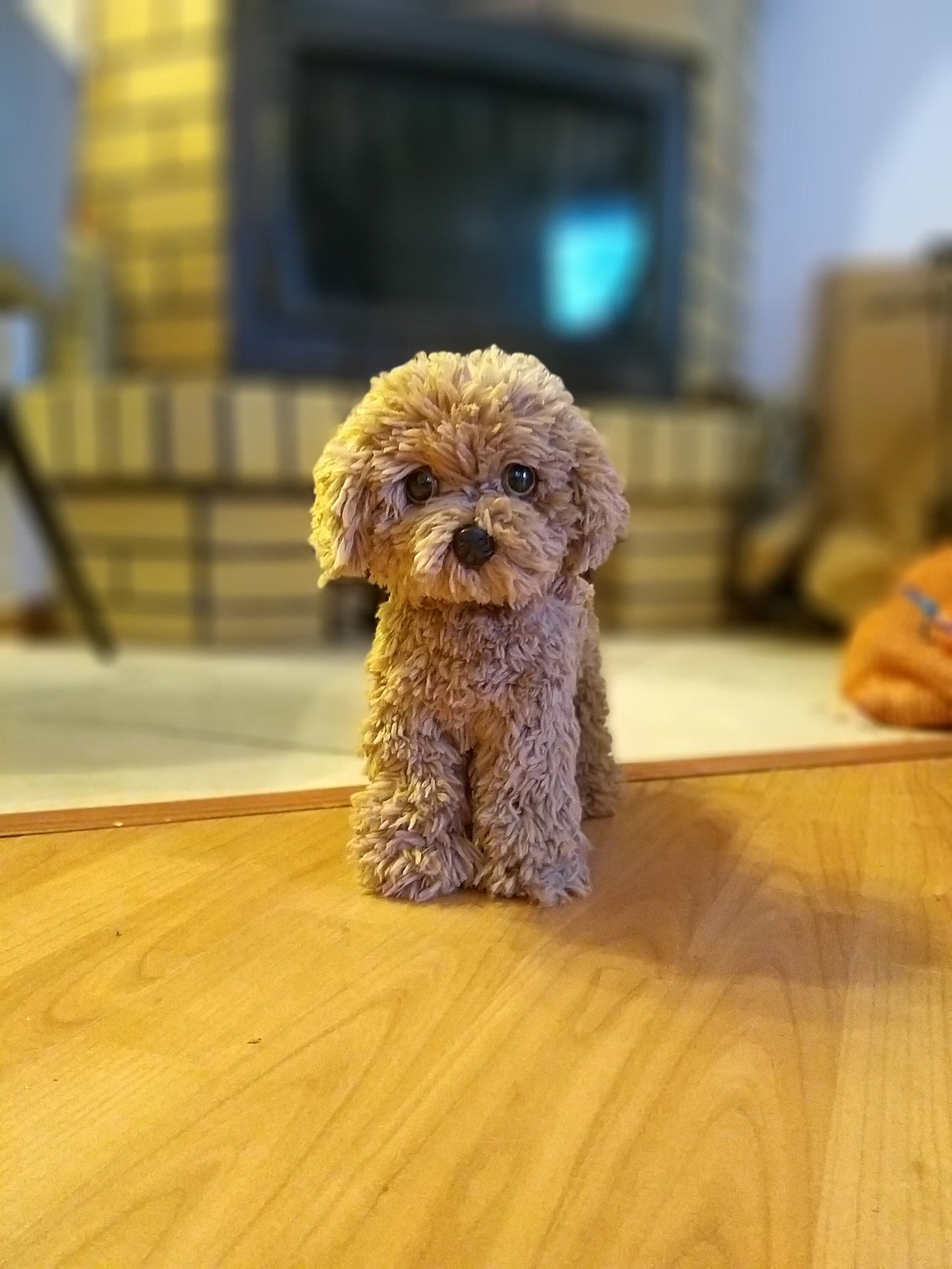 Poodle Dog Crochet Pattern