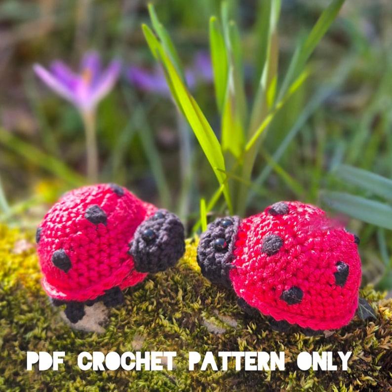 Flying Ladybug Crochet Pattern PDF, Reversible Amigurumi Bug Toy Tutorial, Cute Ladybird Digital Download